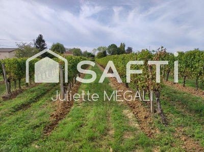 /international/fr/rauzan-aquitaine-310100762718/