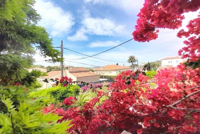 /international/fr/juan-les-pins-provence-alpes-cote-d-azur-310100711064/
