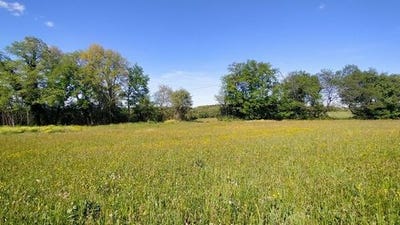/international/fr/le-vigan-midi-pyrenees-310107298979/