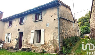/international/fr/blond-limousin-310095793270/?lang=zh-cn