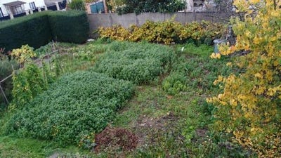 /international/fr/garges-les-gonesse-ile-de-france-310102345207/