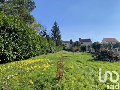 /international/fr/saint-pryve-saint-mesmin-centre-val-de-loire-310098804237/
