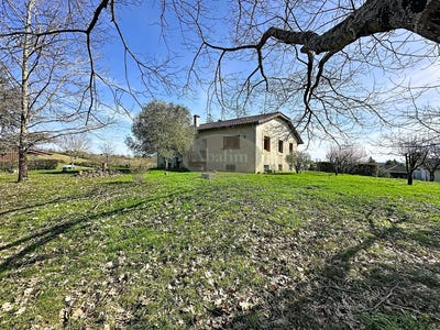 /international/fr/marciac-midi-pyrenees-310106263876/