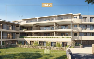 /international/fr/calvi-corsica-310105759626/