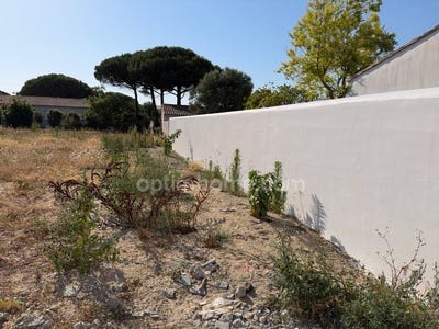 /international/fr/le-bois-plage-en-re-charente-310108087976/