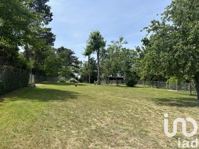 /international/fr/maisse-ile-de-france-310100295725/