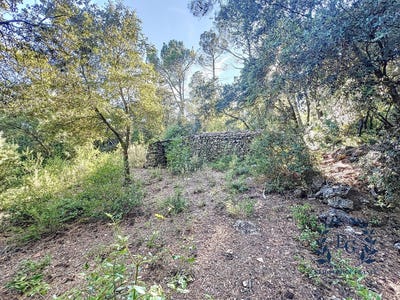 /international/fr/besse-sur-issole-provence-alpes-cote-d-azur-310102669341/