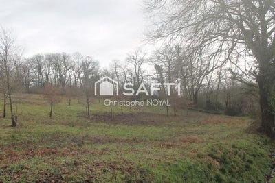 /international/fr/boumourt-aquitaine-310105820786/
