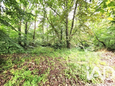 /international/fr/le-pian-medoc-aquitaine-310108554514/