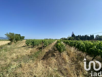 /international/fr/magalas-languedoc-roussillon-310100933511/