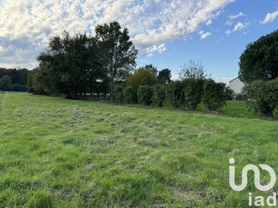 /international/fr/langeais-centre-val-de-loire-310102041005/