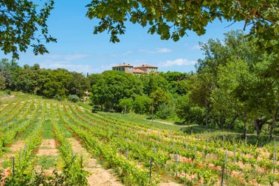 /international/fr/brue-auriac-provence-alpes-cote-d-azur-310099573767/