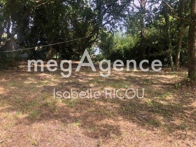 /international/fr/le-chateau-d-oleron-charente-310101381739/