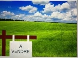/international/fr/clapiers-languedoc-roussillon-310105245018/