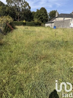 /international/fr/monceaux-en-bessin-upper-normandy-310101626274/