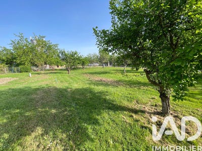 /international/fr/montauban-midi-pyrenees-310108040847/