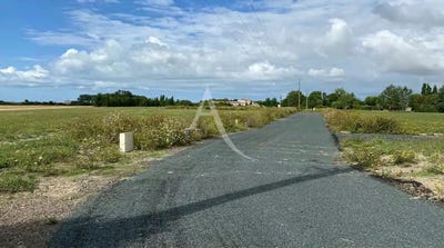 /international/fr/grues-pays-de-la-loire-310106392286/