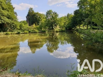 /international/fr/montreuil-le-henri-pays-de-la-loire-310106395906/