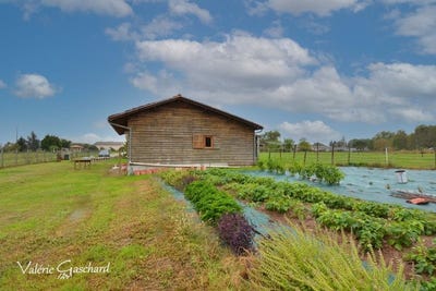 /international/fr/saint-meard-de-gurcon-aquitaine-310106944634/