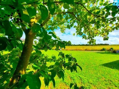 /international/fr/bauge-en-anjou-pays-de-la-loire-310103059744/
