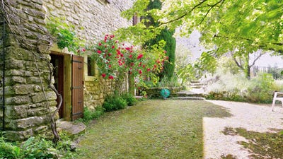 /international/fr/sainte-cecile-les-vignes-provence-alpes-cote-d-azur-310098206678/