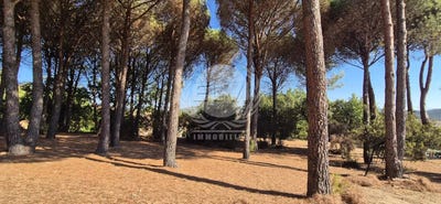 /international/fr/le-plan-de-la-tour-provence-alpes-cote-d-azur-310119598678/
