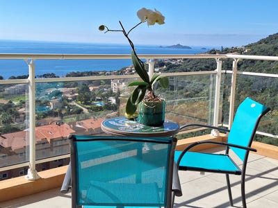 /international/fr/ajaccio-corsica-310108954061/