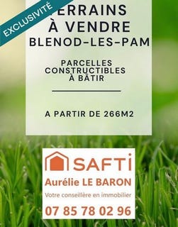 /international/fr/blenod-les-pont-a-mousson-lorraine-310109204772/