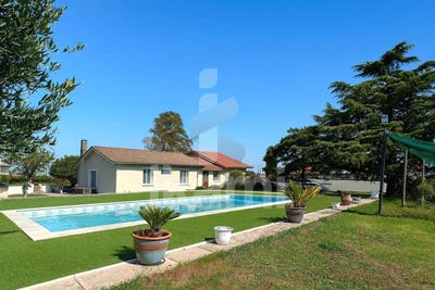 /international/fr/echalas-rhone-310105062499/