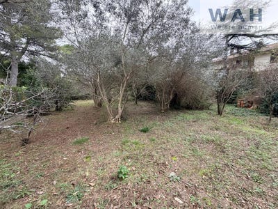 /international/fr/montpellier-languedoc-roussillon-310105912163/