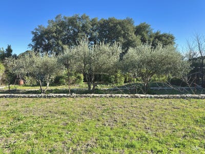 /international/fr/sommieres-charente-310105069899/