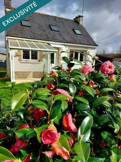 /international/fr/ploerdut-brittany-310106751303/