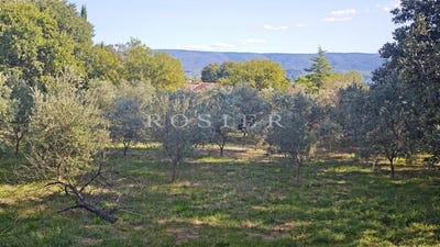 /international/fr/gordes-provence-alpes-cote-d-azur-310102346382/