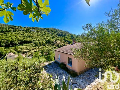 /international/fr/ales-languedoc-roussillon-310101017556/
