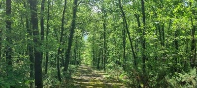 /international/fr/serignac-midi-pyrenees-310102536434/