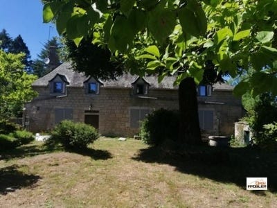 /international/fr/eyrein-limousin-310106361040/