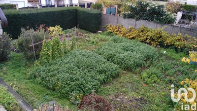 /international/fr/garges-les-gonesse-ile-de-france-310100786338/
