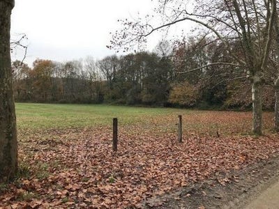 /international/fr/la-brede-aquitaine-310105913296/