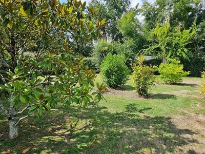 /international/fr/guerande-pays-de-la-loire-310101382313/