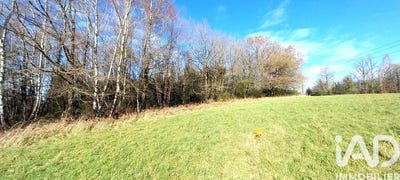 /international/fr/saint-yrieix-la-perche-limousin-310105247774/