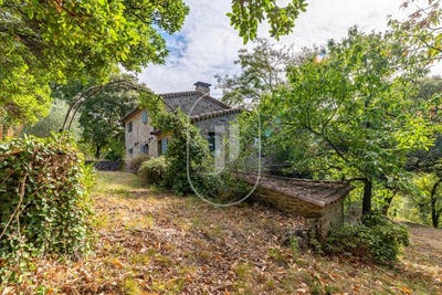 /international/fr/saint-ambroix-languedoc-roussillon-310110159006/