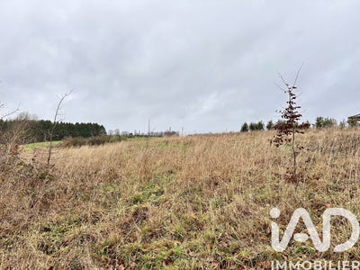 /international/fr/auvillers-les-forges-ardennes-310104098461/