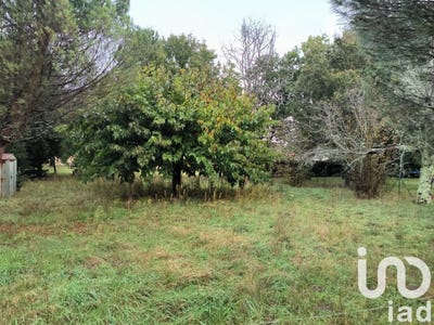 /international/fr/la-tremblade-charente-310099543484/