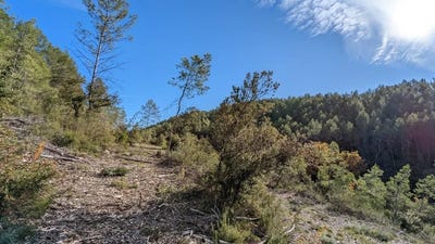 /international/fr/carces-provence-alpes-cote-d-azur-120089701172/