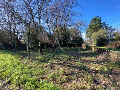 /international/fr/bretignolles-sur-mer-pays-de-la-loire-310104463004/
