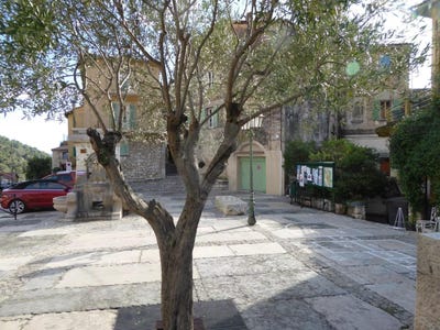 /international/fr/gorbio-provence-alpes-cote-d-azur-310107839331/
