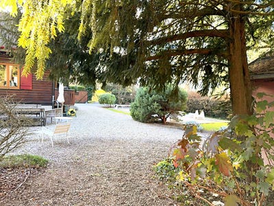 /international/fr/mulhouse-alsace-310108596970/