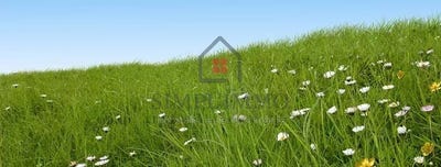 /international/fr/meschers-sur-gironde-charente-310100992649/