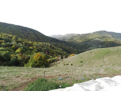 /international/fr/mezilhac-rhone-310103538406/