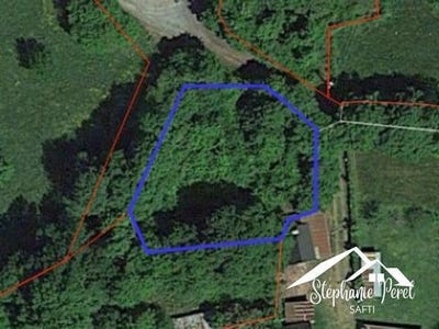 /international/fr/neuvic-limousin-310100830119/